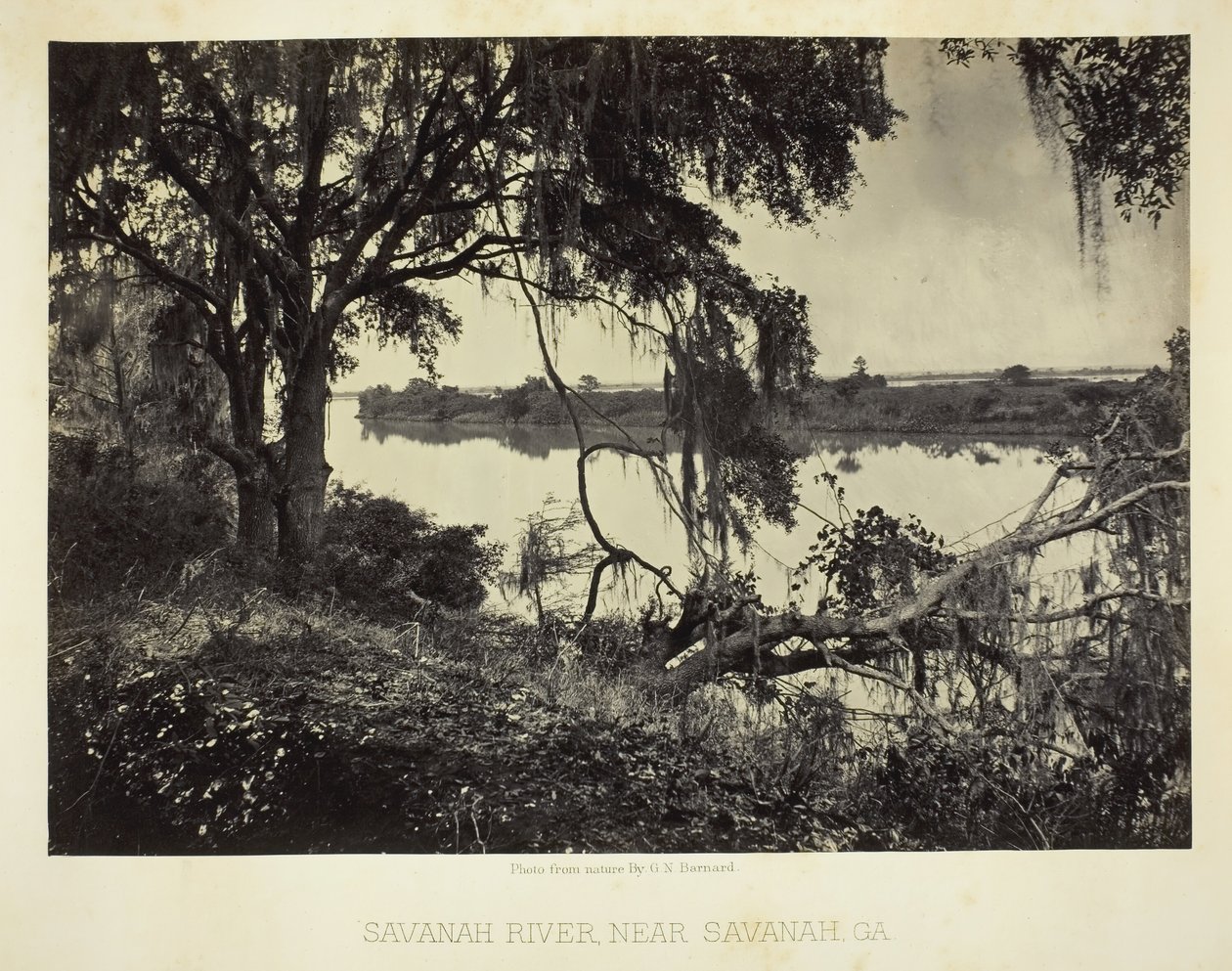 Savannah Nehri yakınında, Savannah, GA, 1866. by George N. Barnard