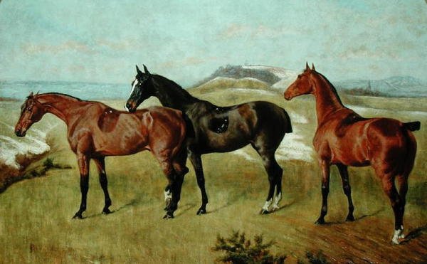 Üç At: Whissendine, Swallow ve Tiptop by George Paice