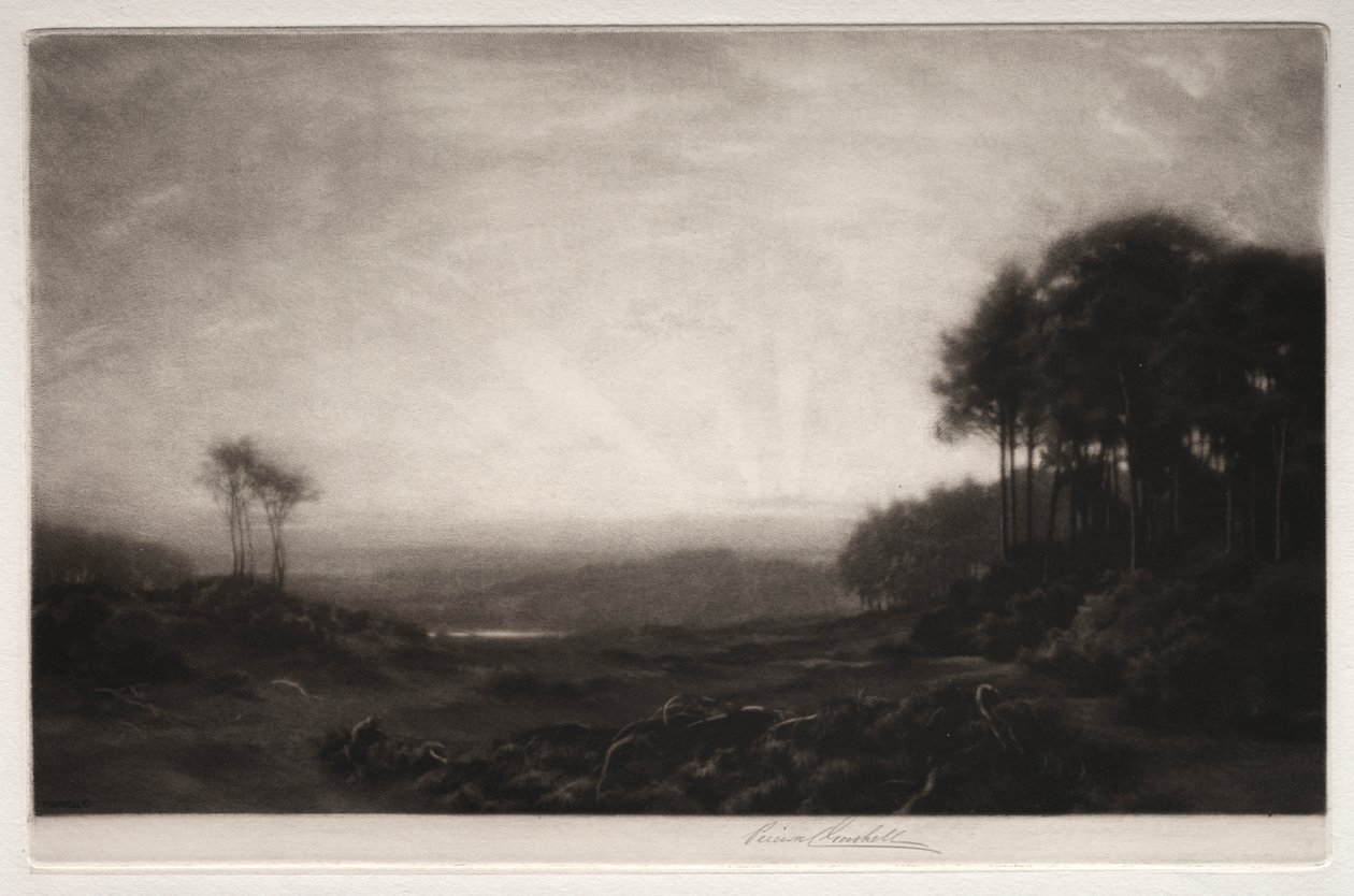Manzara by George Percival Gaskell