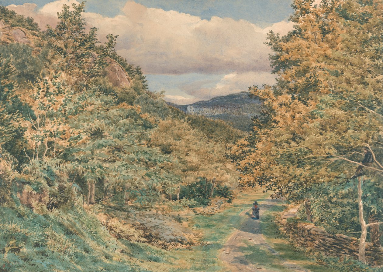 Bettws-y-Coed Yakınlarında Bir Yol by George Price Boyce