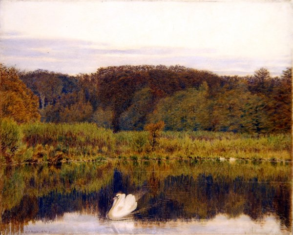 Abinger Mill Pond, Surrey- Geç Sonbaharda Sabah (kağıt üzerine suluboya) by George Price Boyce