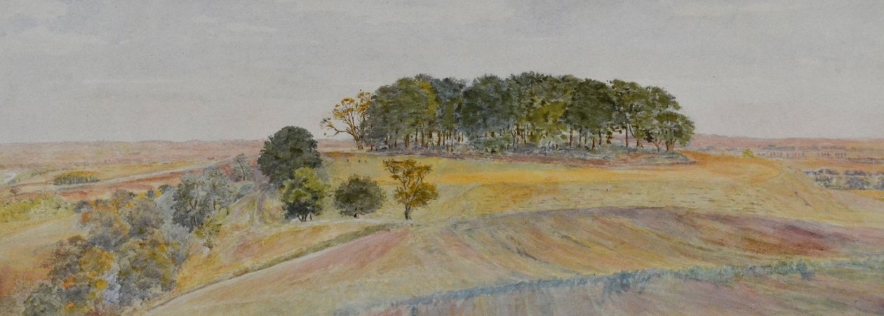 Wittenham Clump#39;larından biri veya Sinodun Tepeleri, Berkshire, 1870-90 civarı (suluboya) by George Price Boyce
