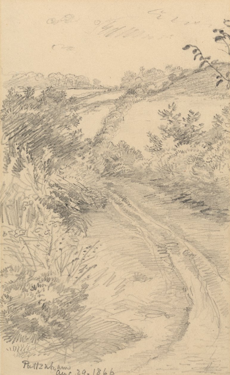 Ötesinde Bir Tarla Olan Çalılık Bir Yol by George Richmond