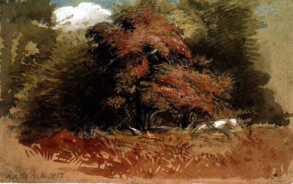Knole Parkı by George Richmond