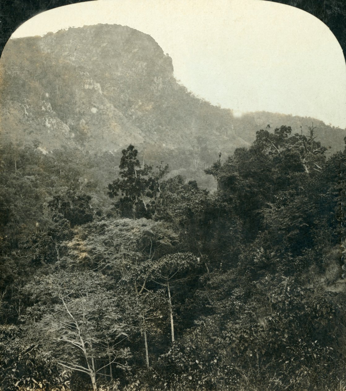 Barron River Gorge