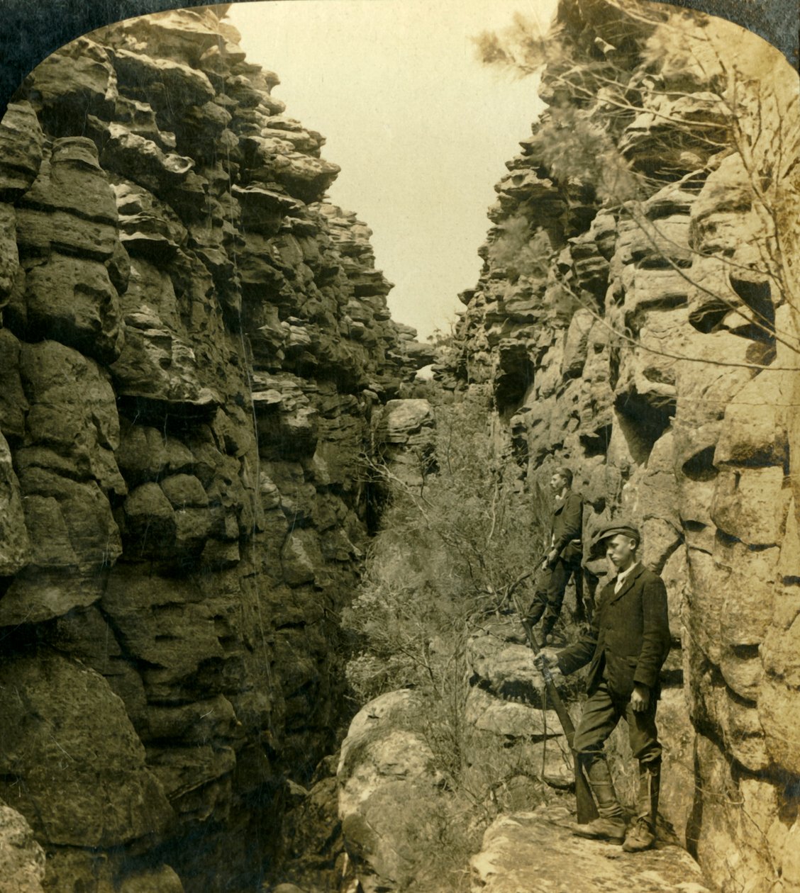 Wonderland Avenue veya Silent Street, Grampians, Victoria, Avustralya, 1908. by George Rose