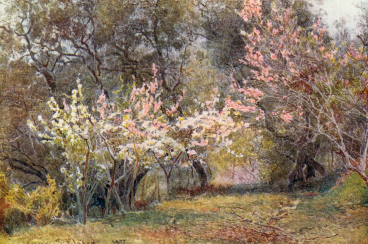  by George Samuel Elgood