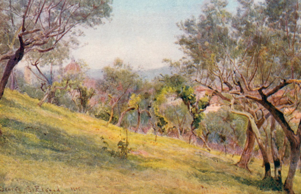 Zeytinler Arasında, Floransa (renkli taş baskı) by George Samuel Elgood