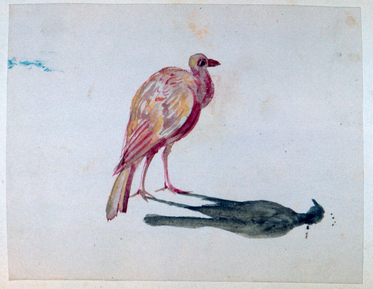 Kuş, 1820-1876 by George Sand