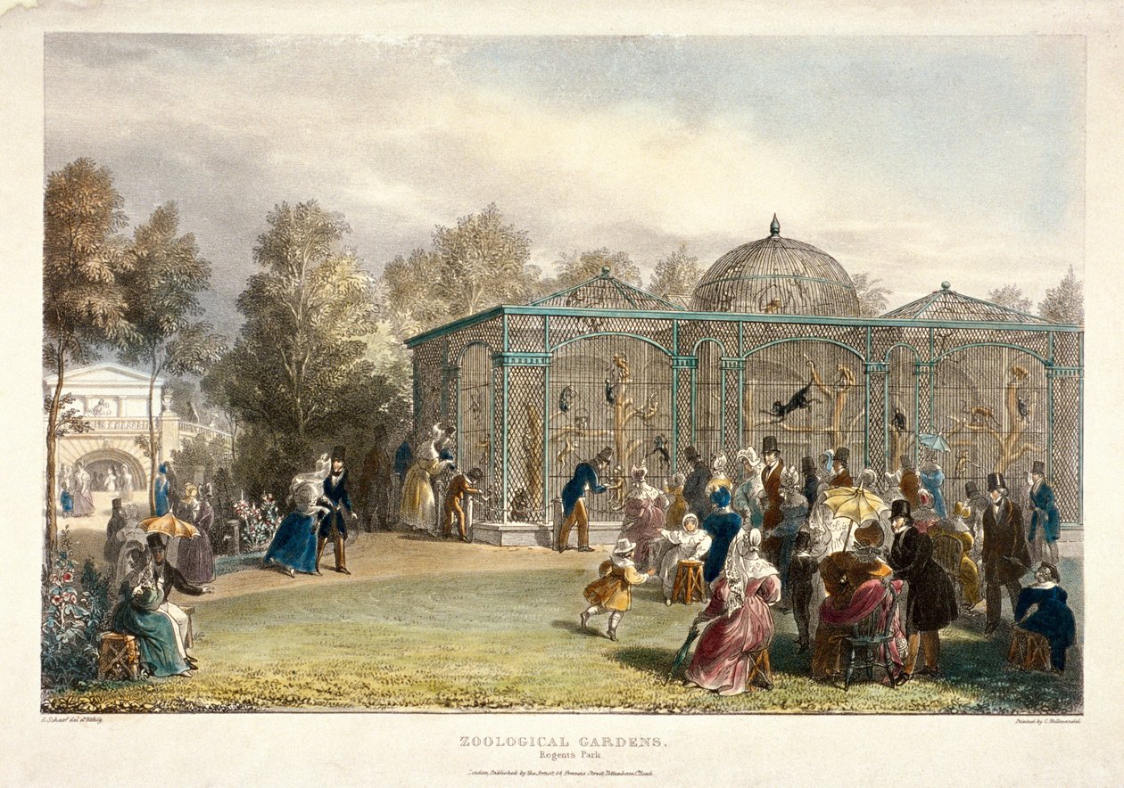 Hayvanat Bahçeleri, Regent