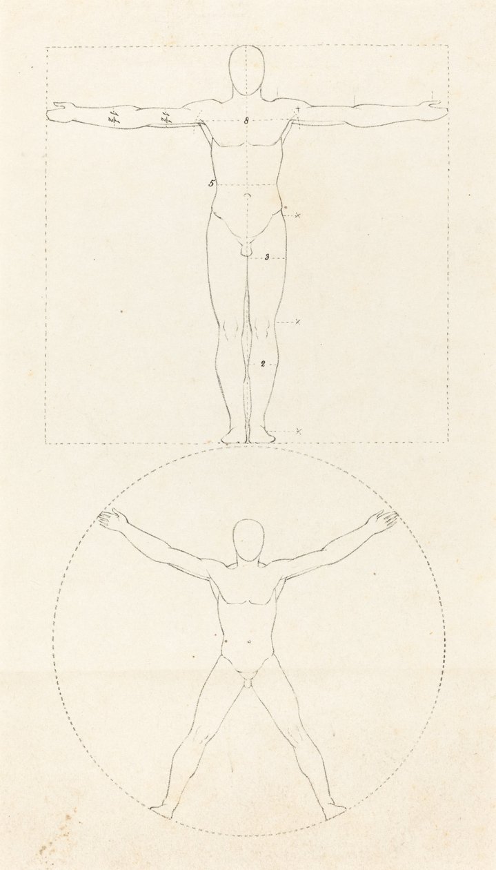 İnsan Figürünün Çemberi ve Karesi by George Scharf after John Flaxman