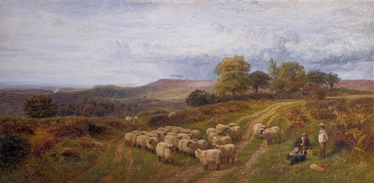Bir Çoban ve Koyun Sürüsü ile Kapsamlı Manzara, Surrey (tuval üzerine yağlı boya) by George Shalders