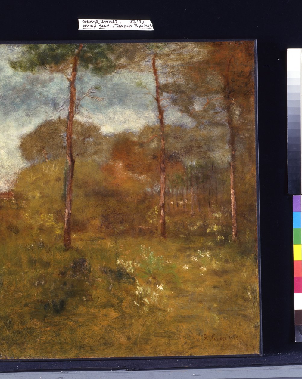 Orange Road, Tarpon Springs (tuval üzerine yağlıboya) by George Snr. Inness
