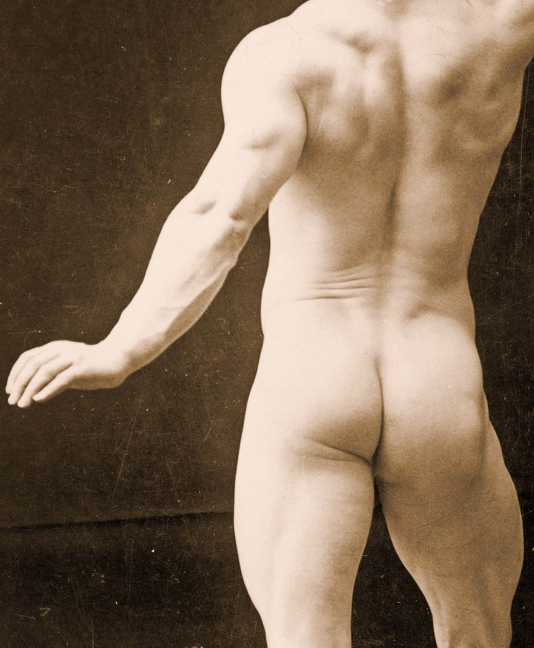 Eugen Sandow, klasik antik Greko-Romen pozunda, DGC 1073442 c.1894 bw fotoğraf detayı by George Steckel