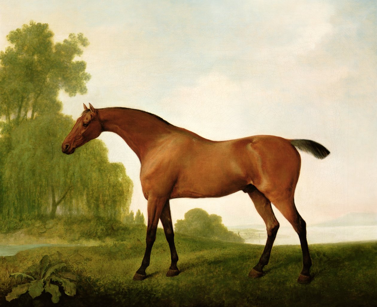 Bir Peyzajda Safkan Bir Körfez by George Stubbs