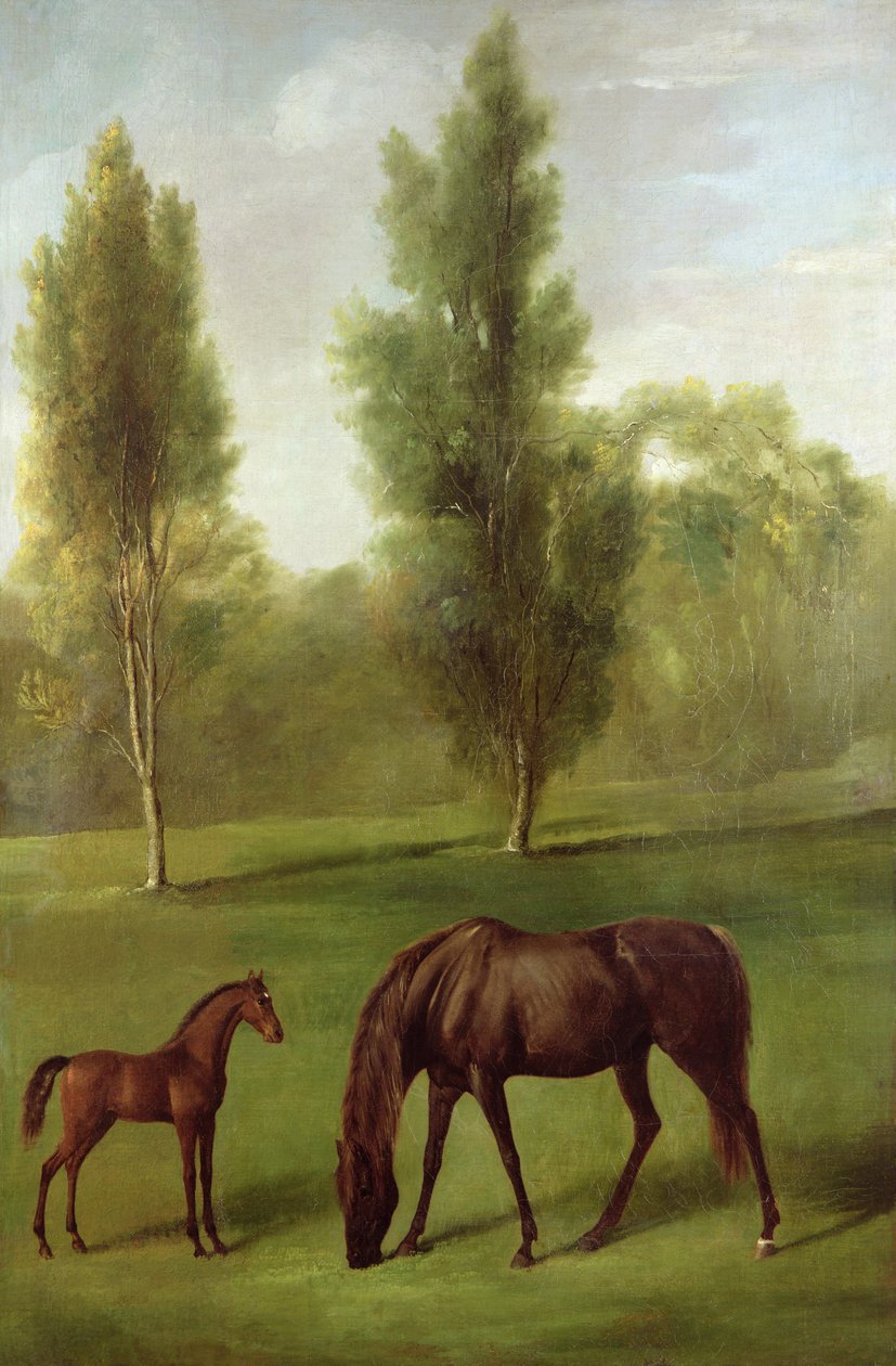 Ormanlık Bir Peyzajda Kestane Kısrak ve Tay, c.1761-63 (tuval üzerine yağlı boya) by George Stubbs