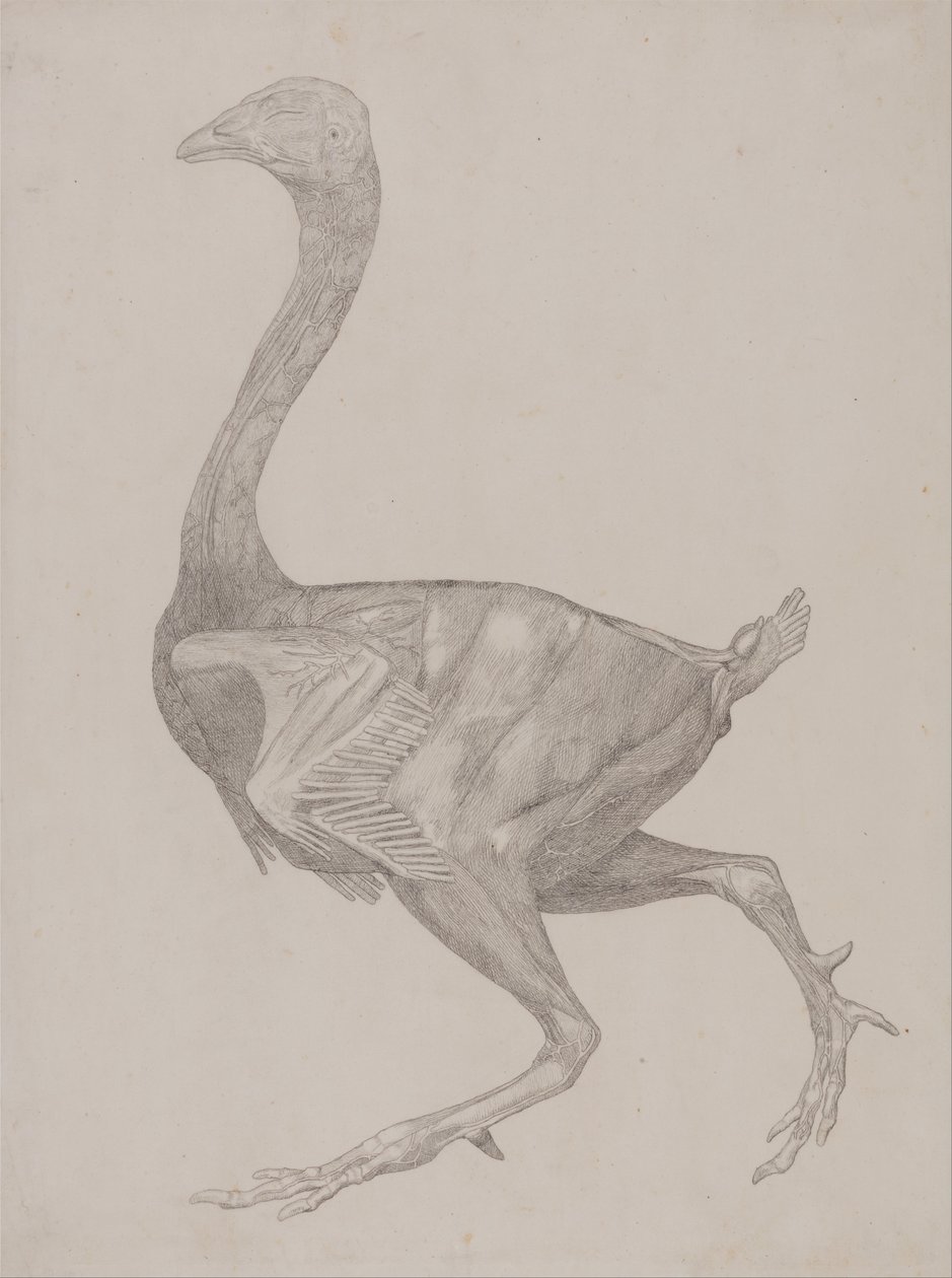  by George Stubbs