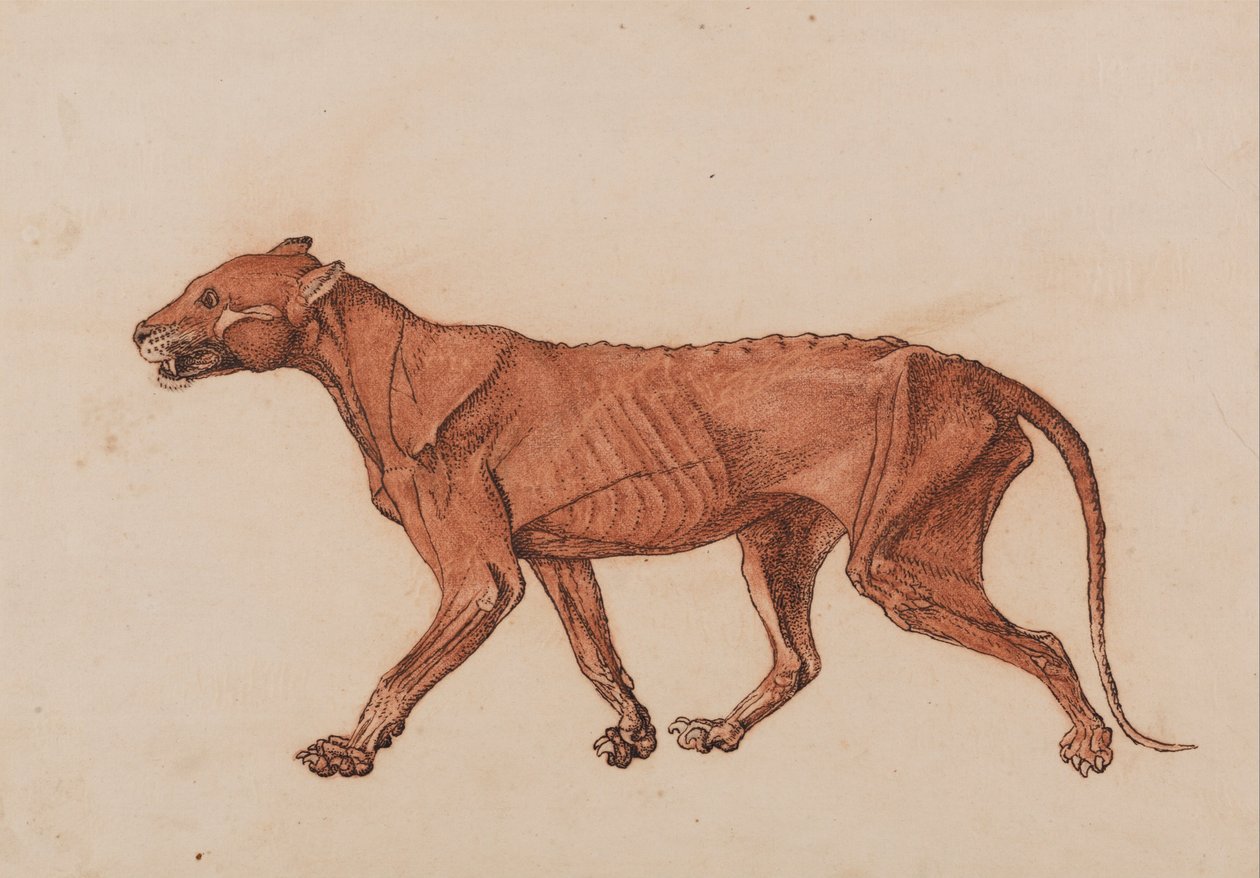  by George Stubbs