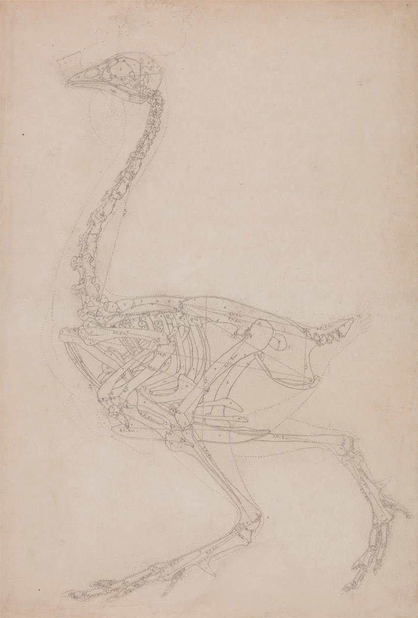  by George Stubbs