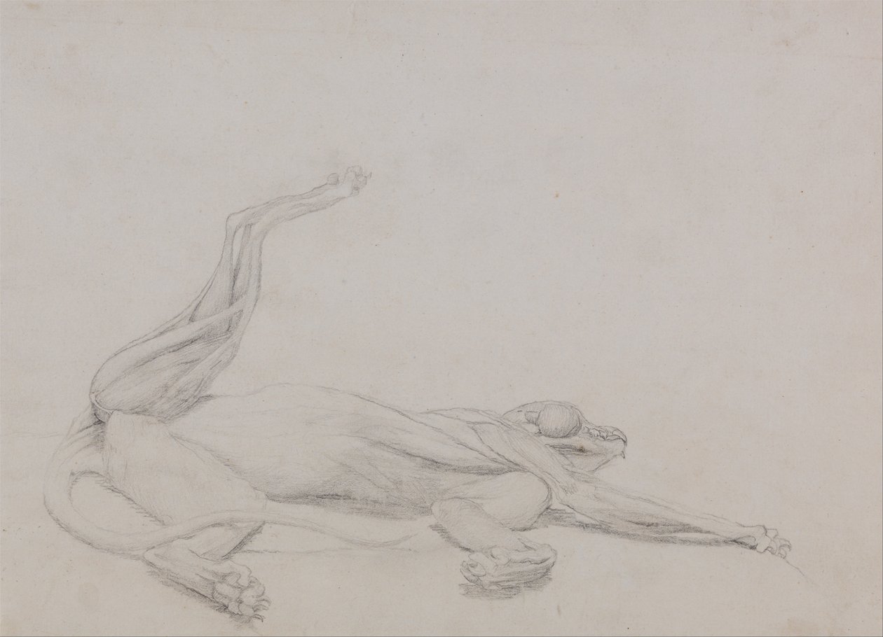  by George Stubbs