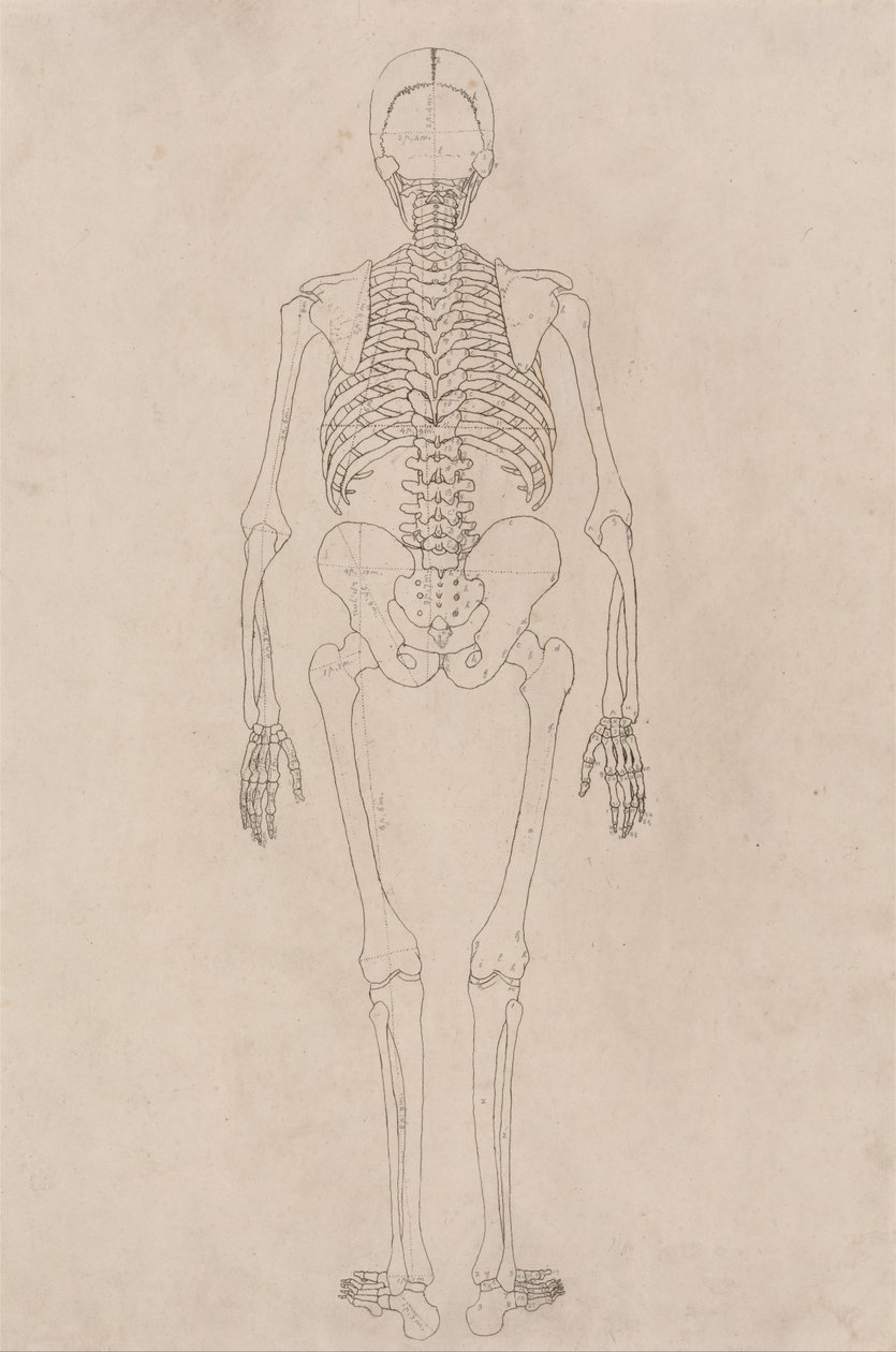  by George Stubbs