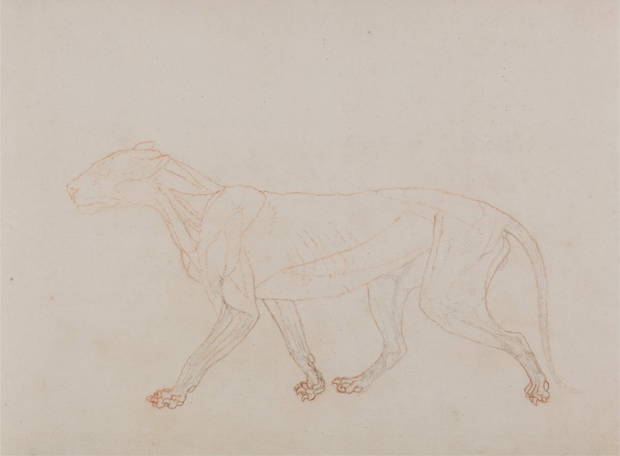  by George Stubbs