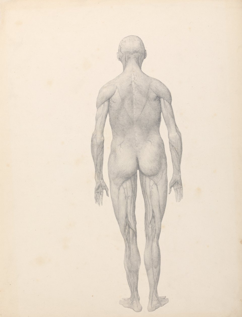  by George Stubbs