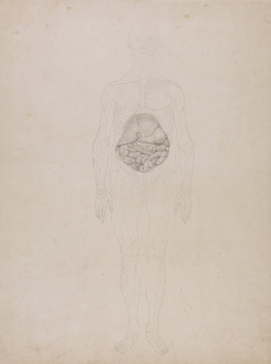  by George Stubbs
