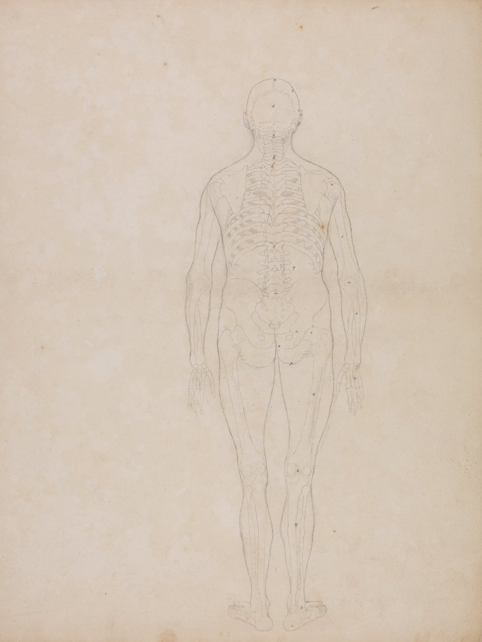  by George Stubbs