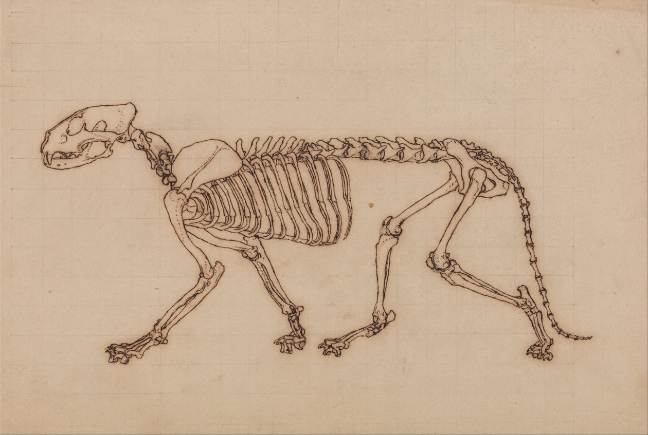  by George Stubbs