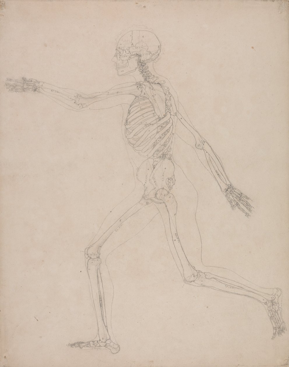  by George Stubbs