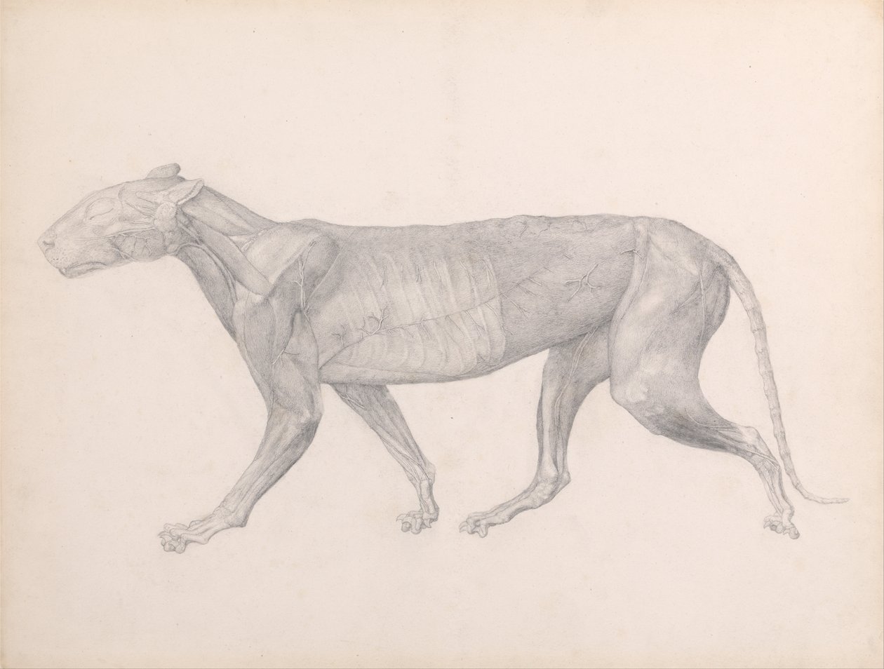  by George Stubbs