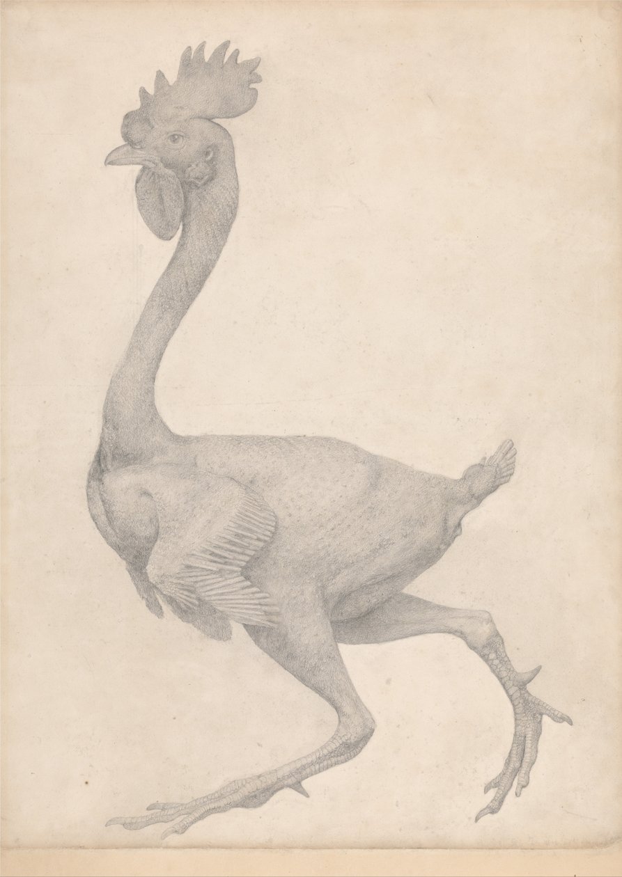  by George Stubbs