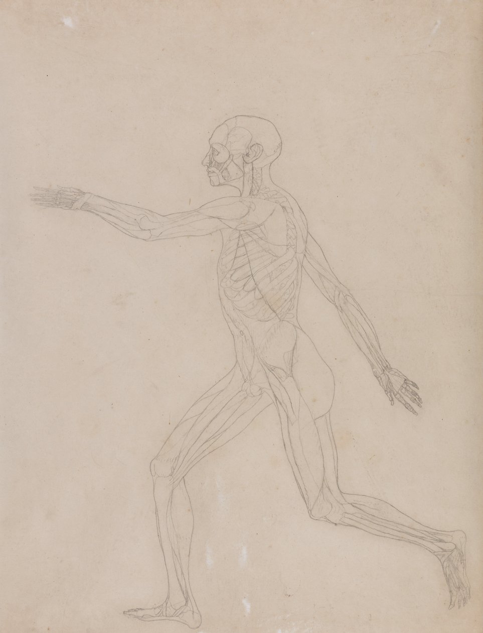  by George Stubbs