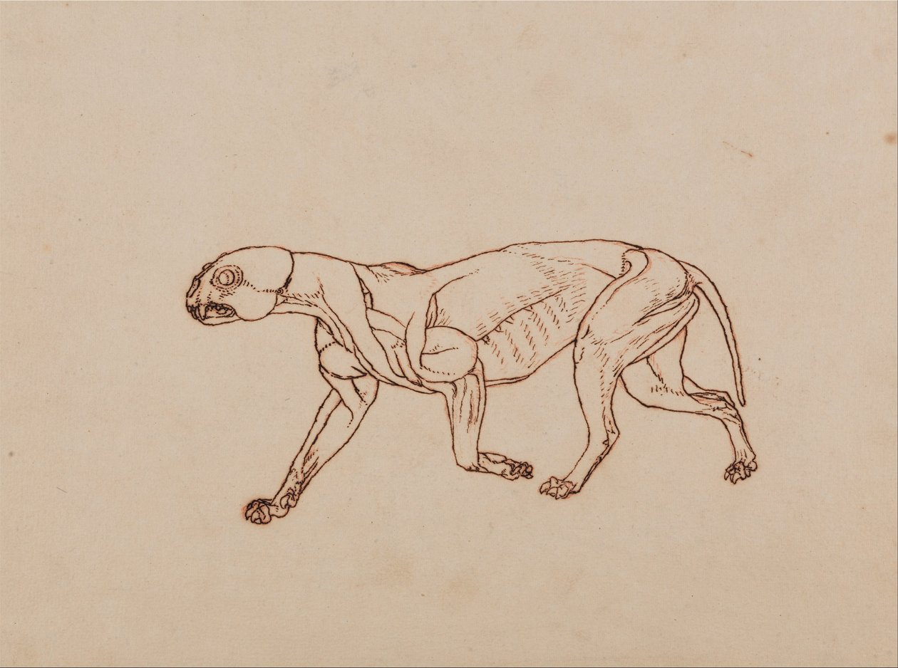  by George Stubbs