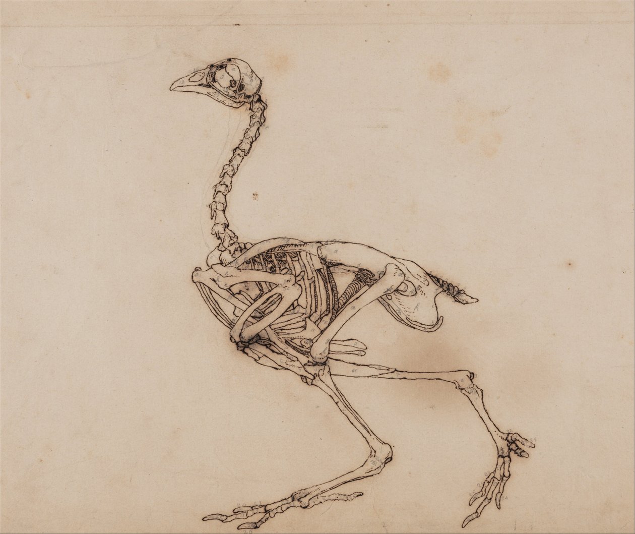  by George Stubbs