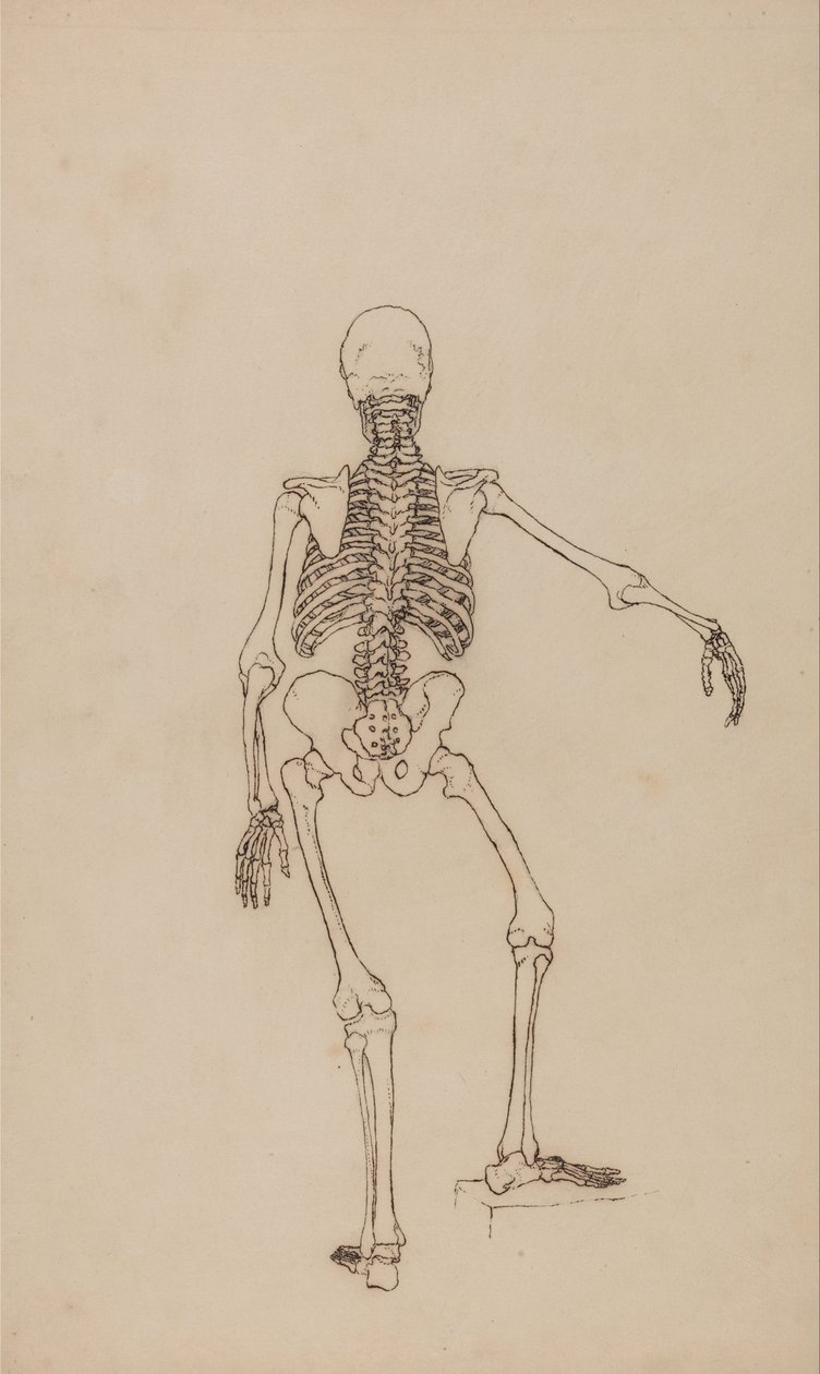  by George Stubbs