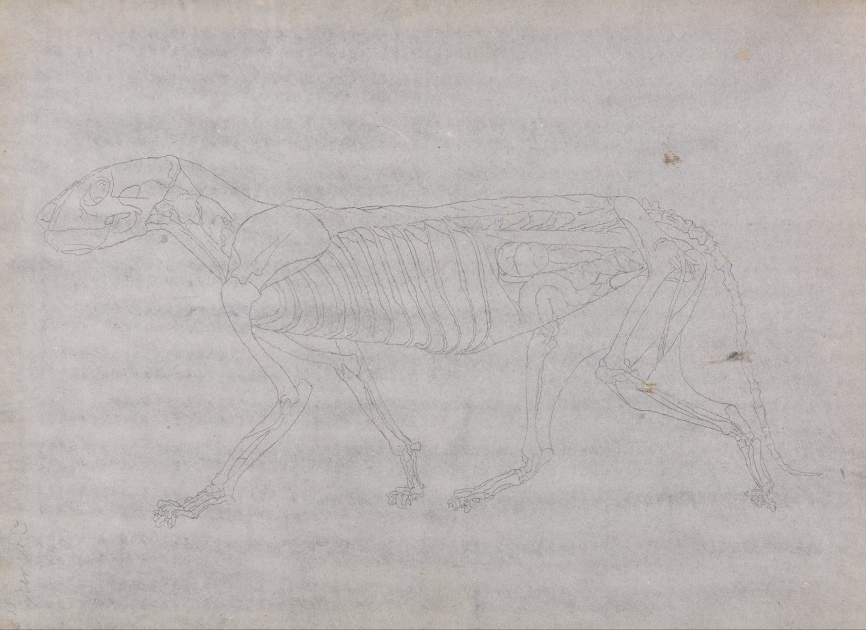  by George Stubbs