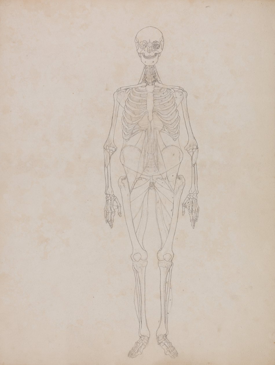  by George Stubbs