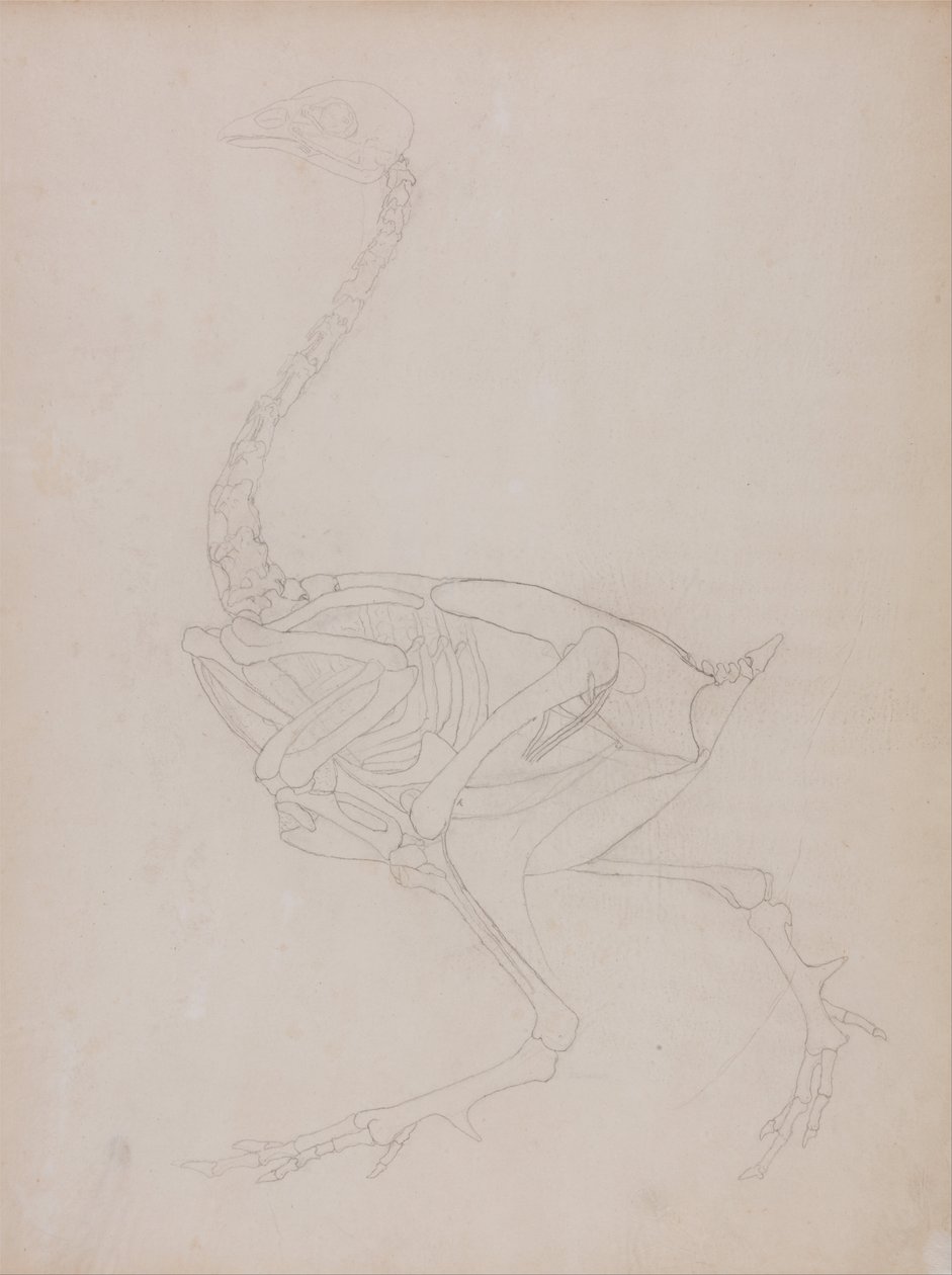  by George Stubbs