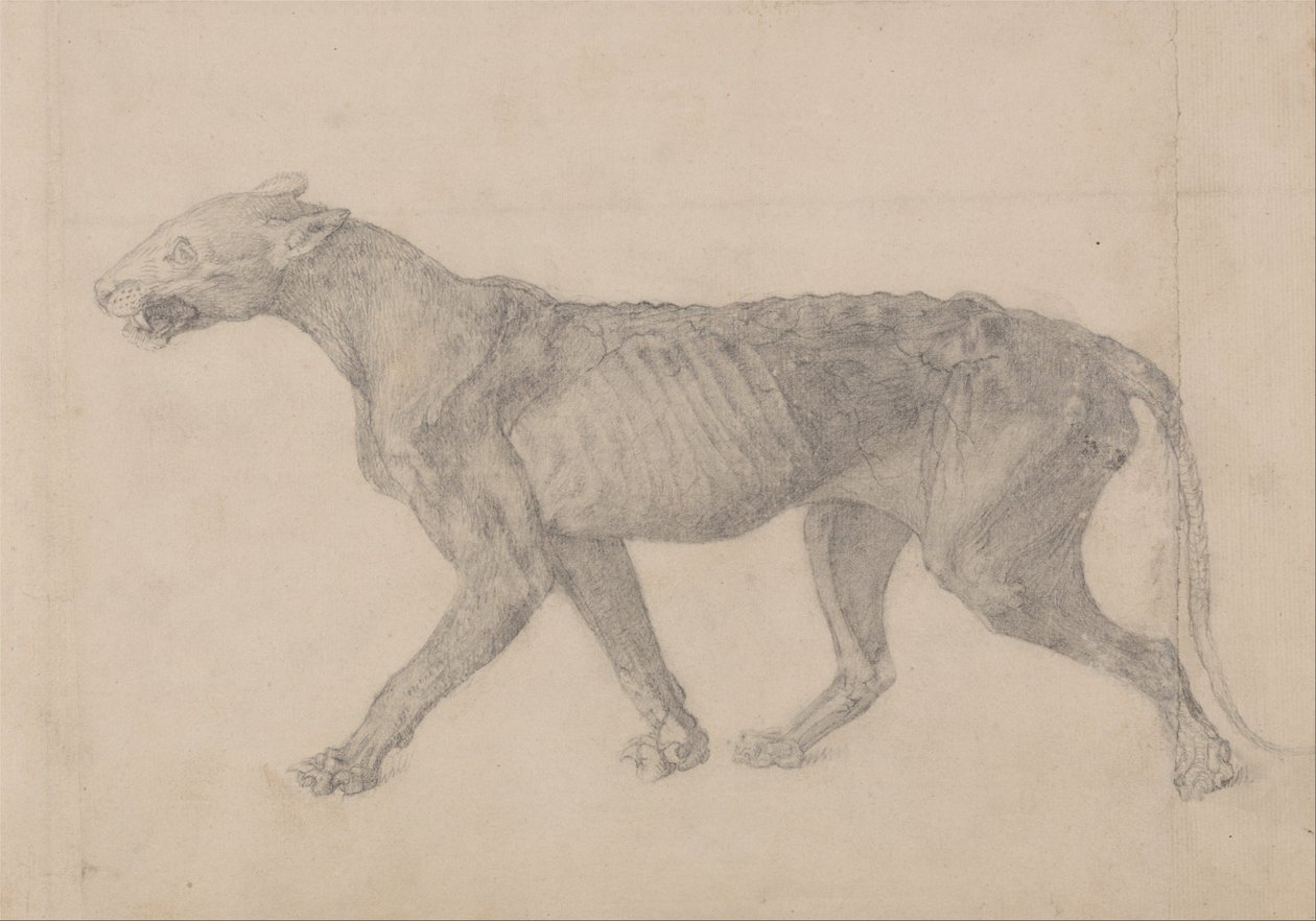  by George Stubbs