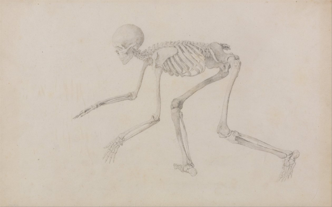  by George Stubbs
