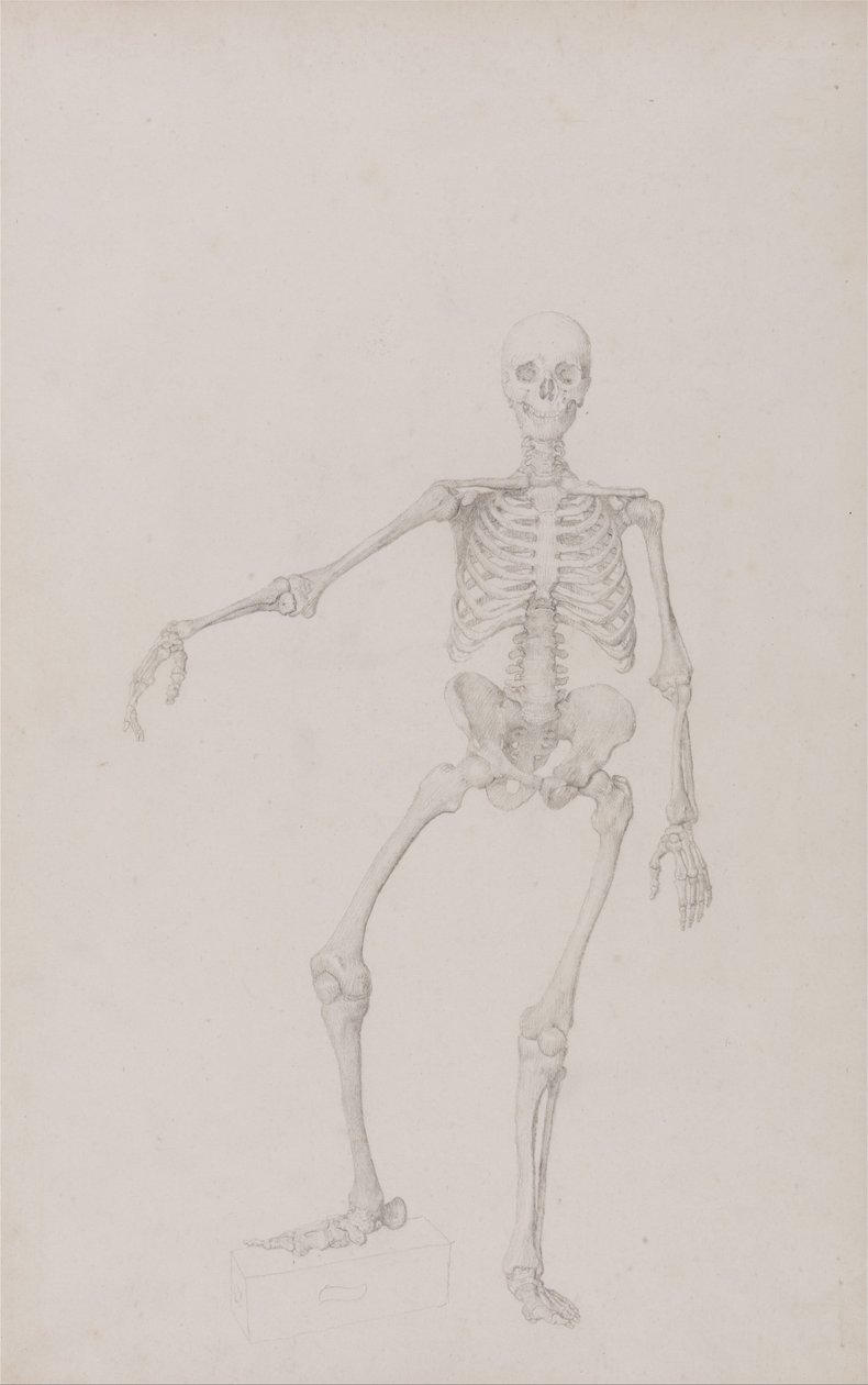  by George Stubbs