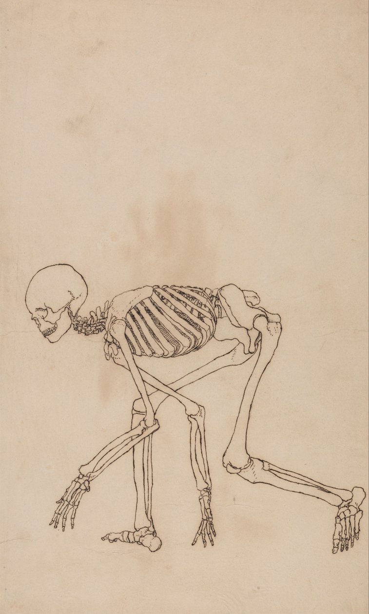  by George Stubbs