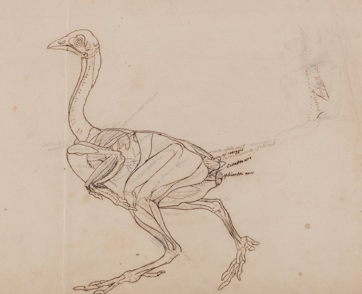  by George Stubbs
