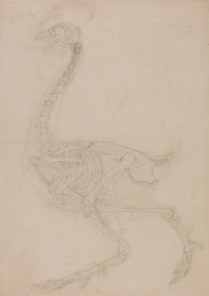  by George Stubbs