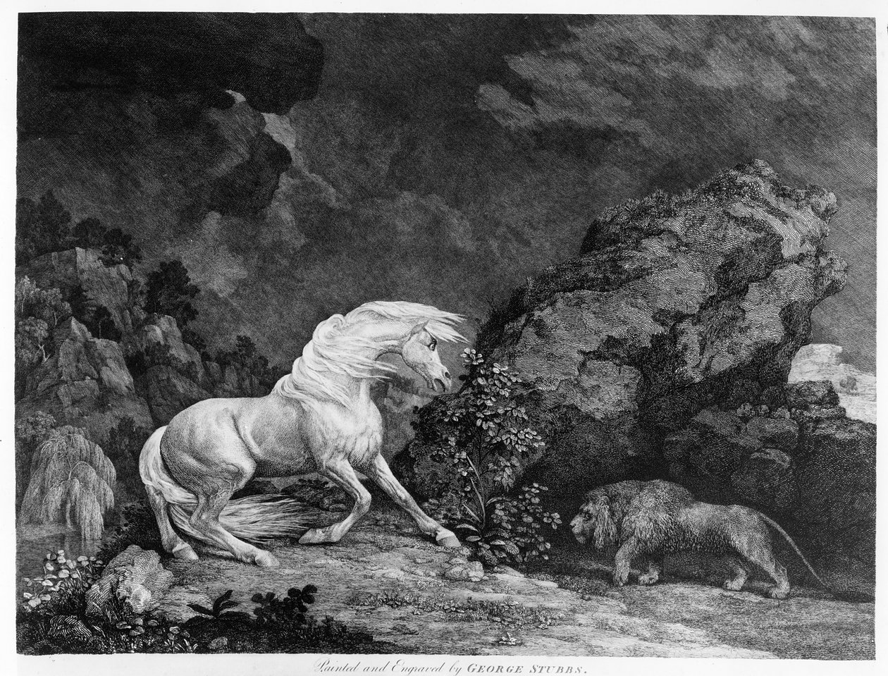 Aslan tarafından korkutulan bir at, ressam tarafından oyulmuş, 1777 by George Stubbs