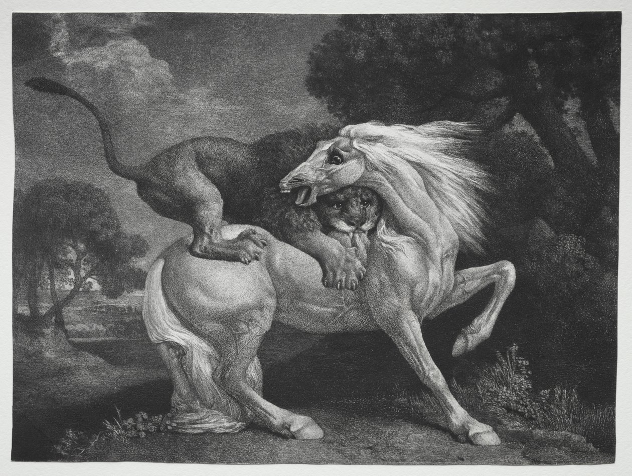 Aslan tarafından saldırıya uğrayan bir at by George Stubbs