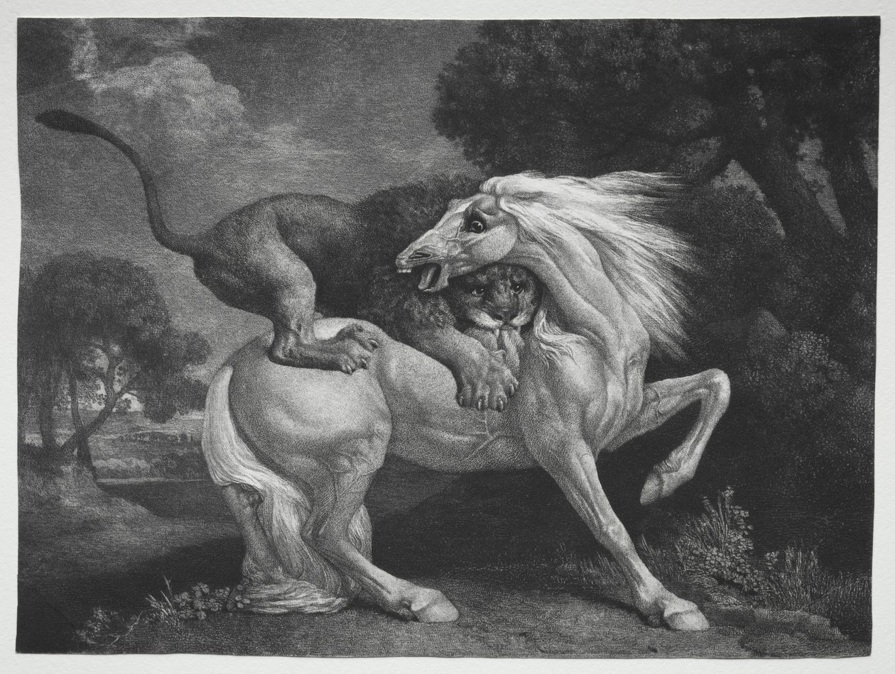 Aslan Tarafından Saldırıya Uğrayan Bir At, 1788. by George Stubbs