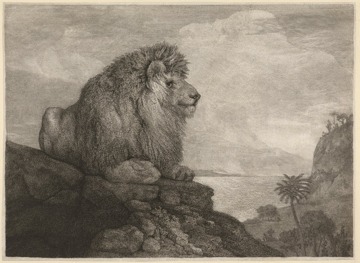Sanatçının oyduğu Aslan (Kayada Dinlenen Aslan) by George Stubbs